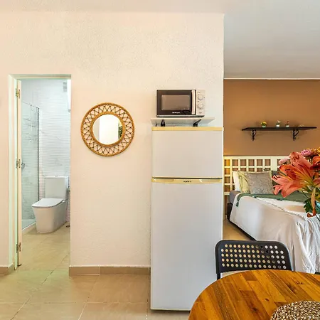 Charming Coast Paraiso Apartment Costa Adeje (Tenerife)